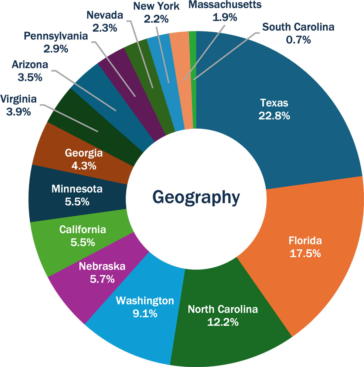 pie chart showing diversification by geography in percentages